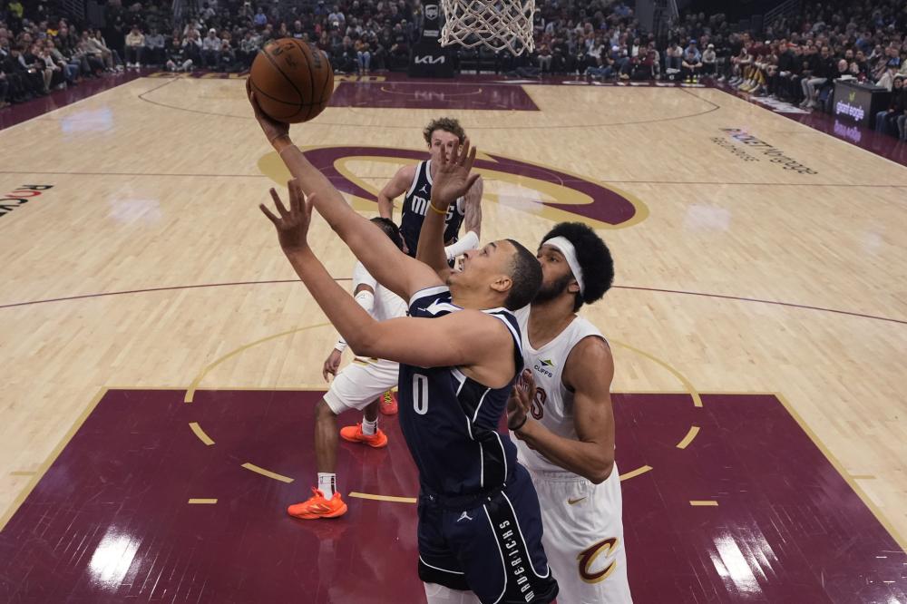 他们不仅提 他们不仅提